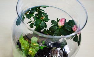 20191221-DSC_3143.JPG